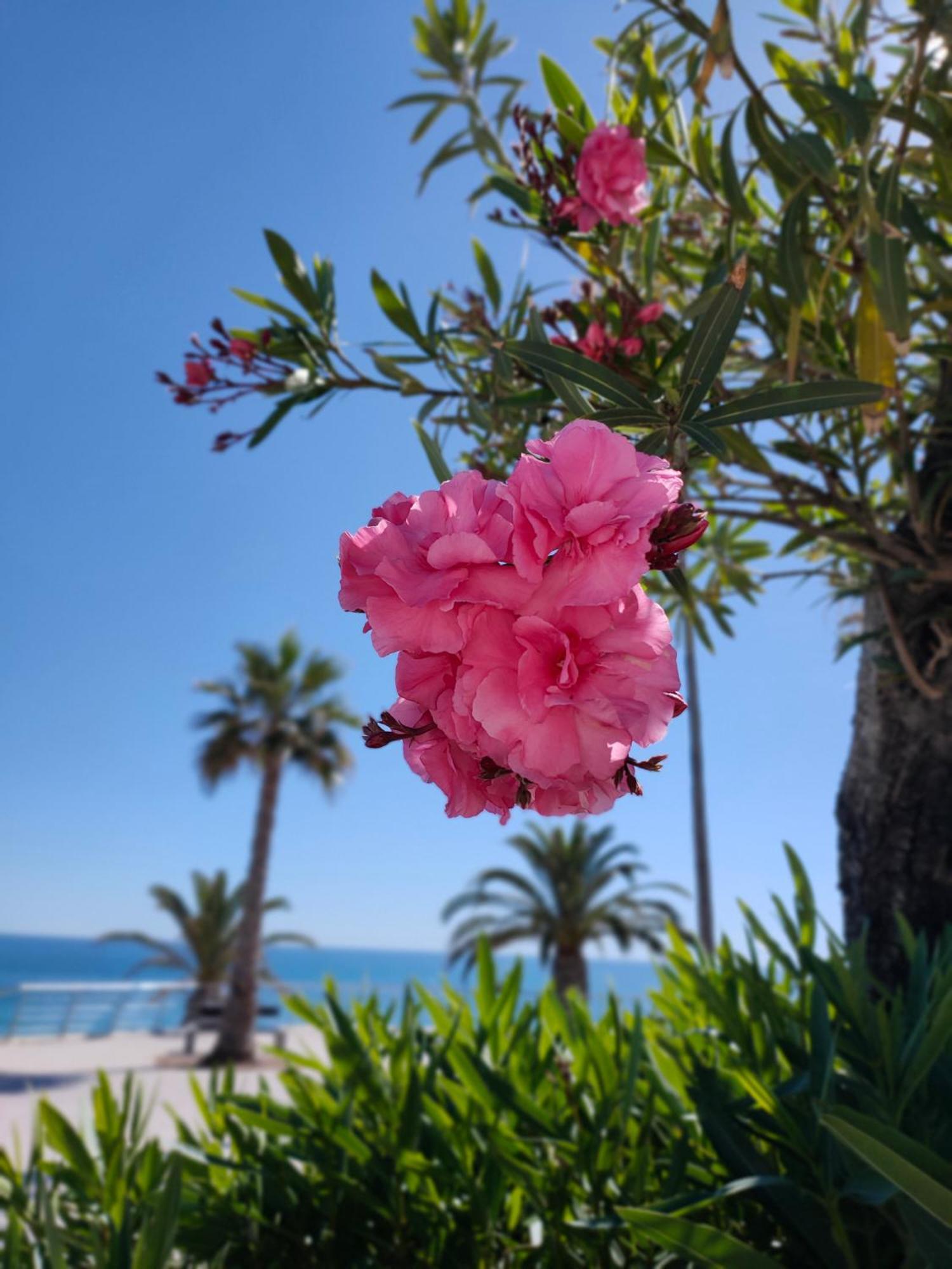 Cantinho Do Sol - Sea View, Quiet, Cozy And Relaxing Flat Armação de Pêra المظهر الخارجي الصورة